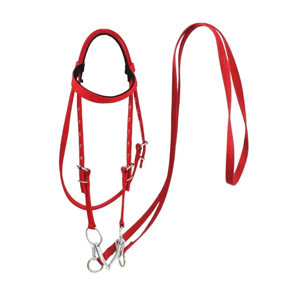 Horse Sweat Scraper Squeegee