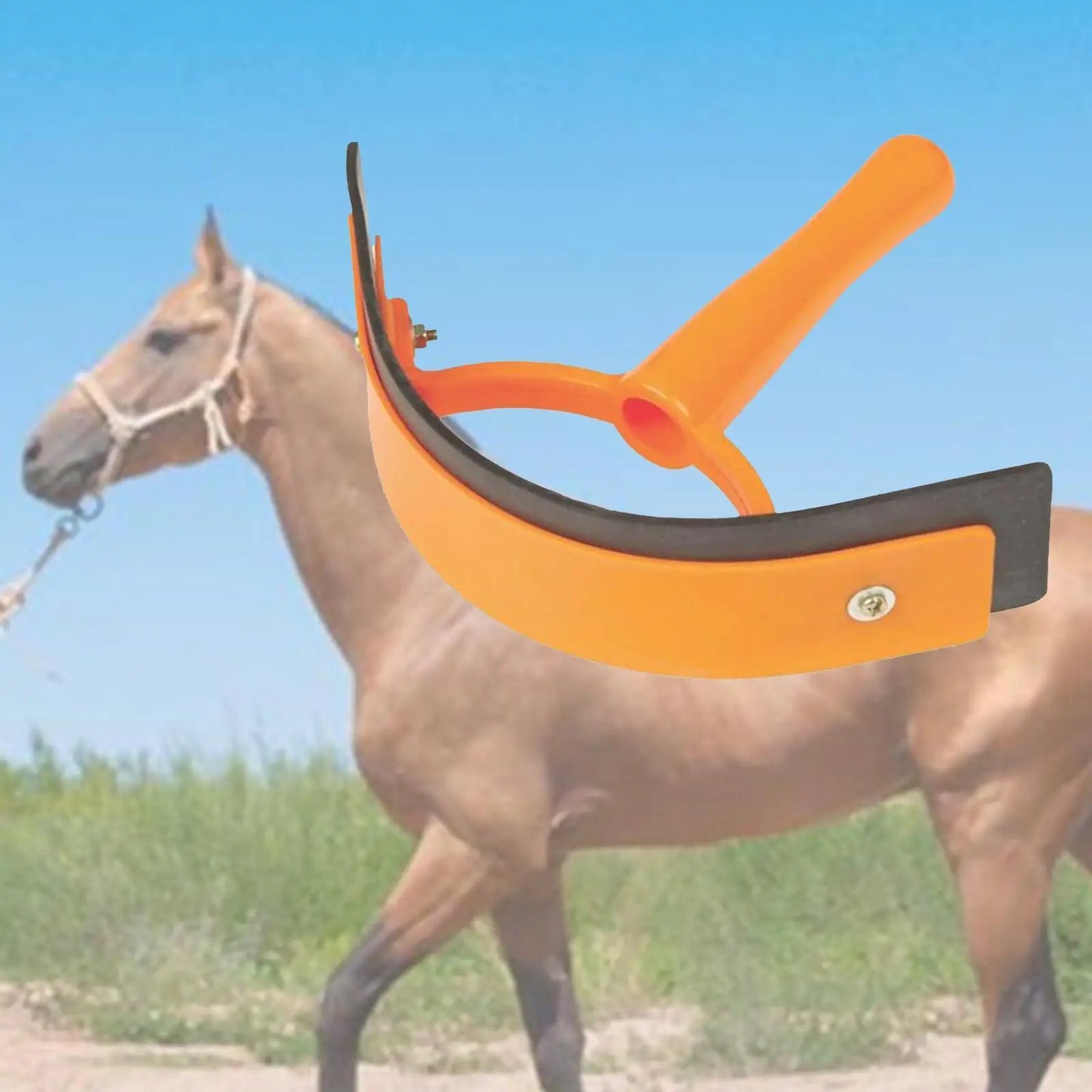 Fleece Grooming Mitt Glove