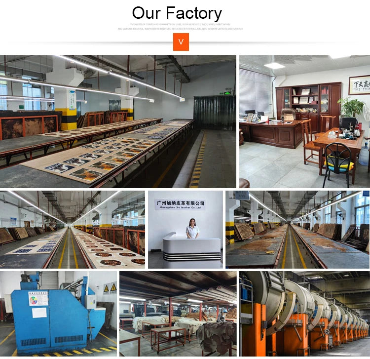 Removable Stall Saddle Rack