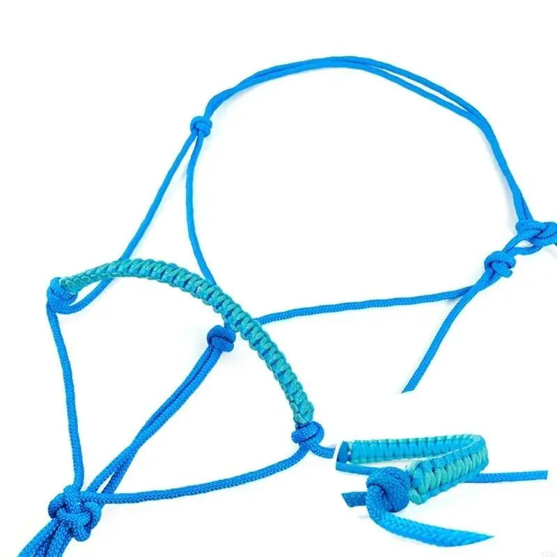 Mane Tail Round Brush