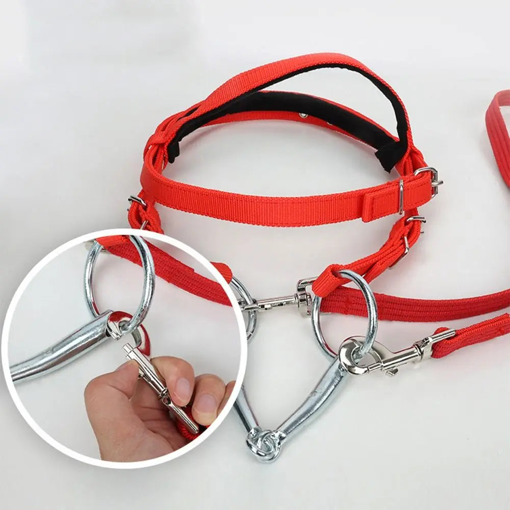 PU Leather Buckle Halter