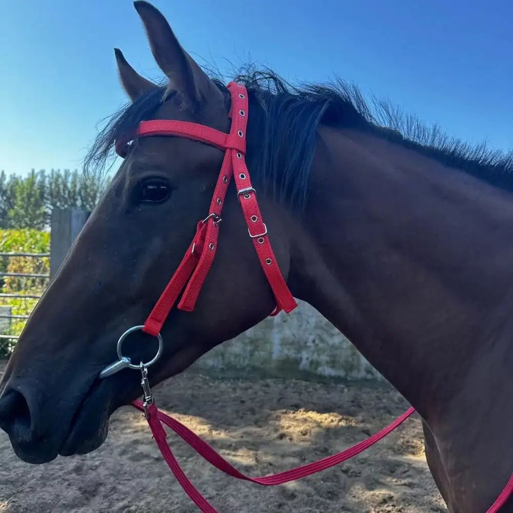 PU Leather Buckle Halter