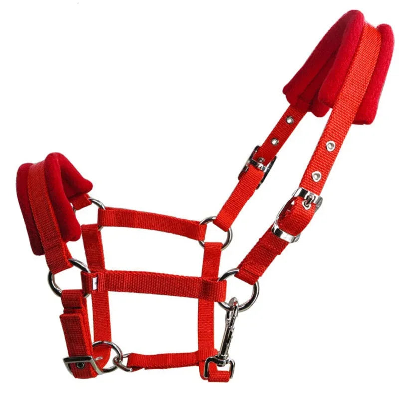 Bridles