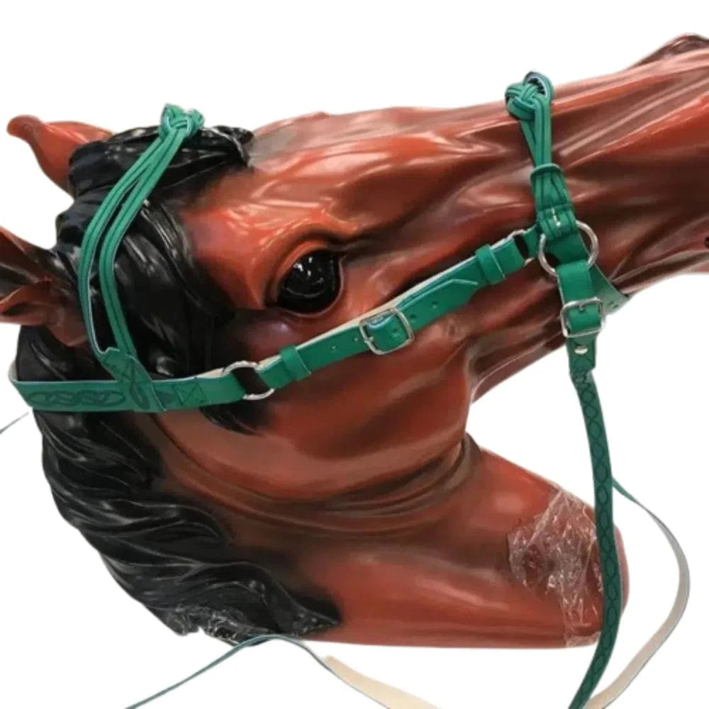 Knot Training Rope Halter