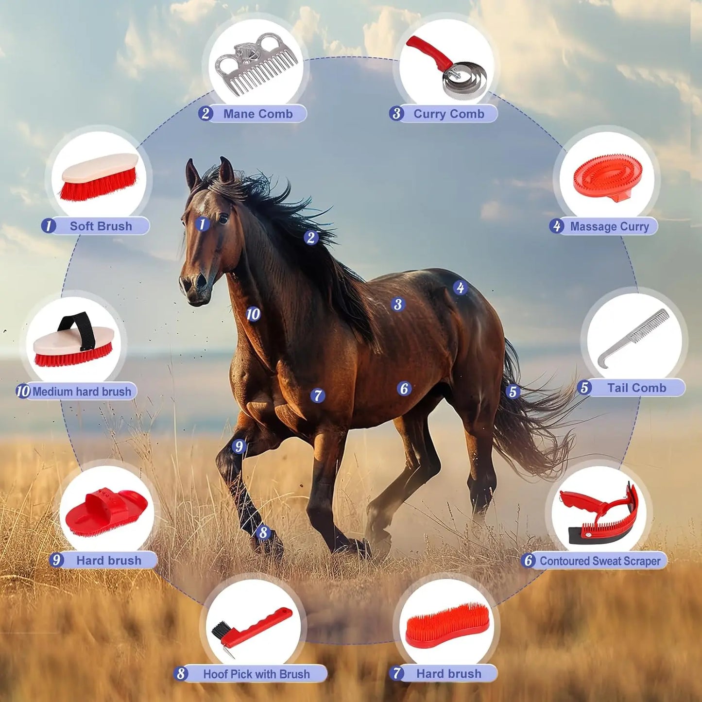 Elastic Riding Waist Belt