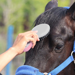 Deshedding Massage Grooming Glove