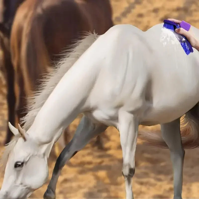 Men's Ratchet Western Belt