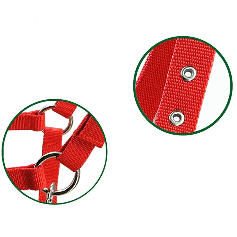 PU Leather Comfort Bridle