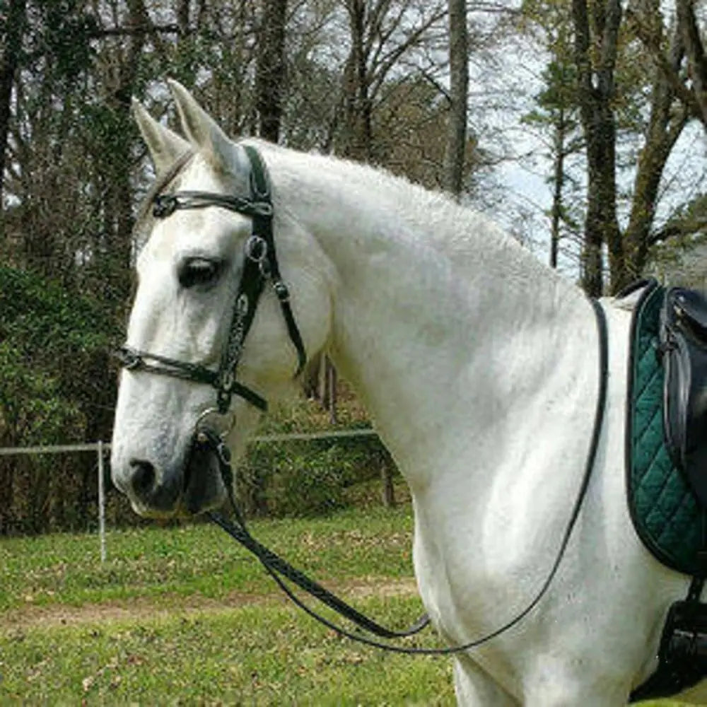 Plush Padded Horse Halter