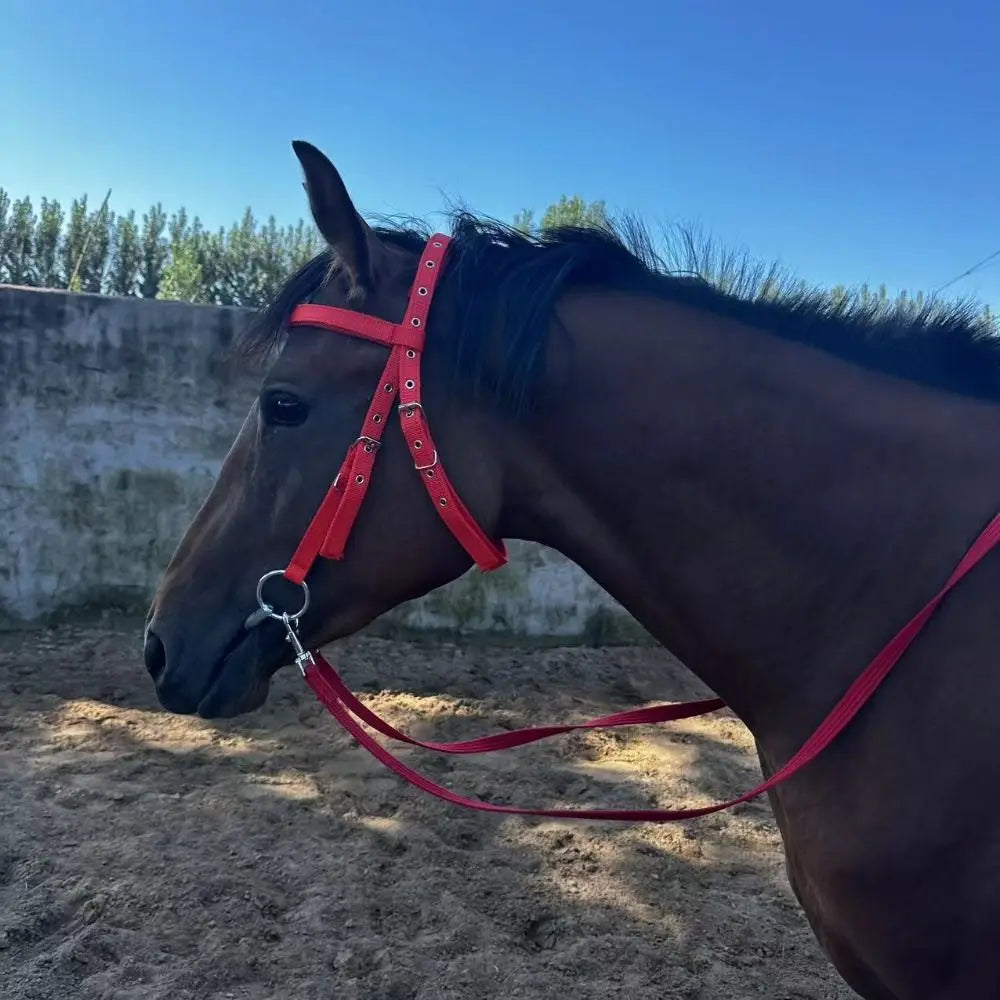 PU Leather Buckle Halter