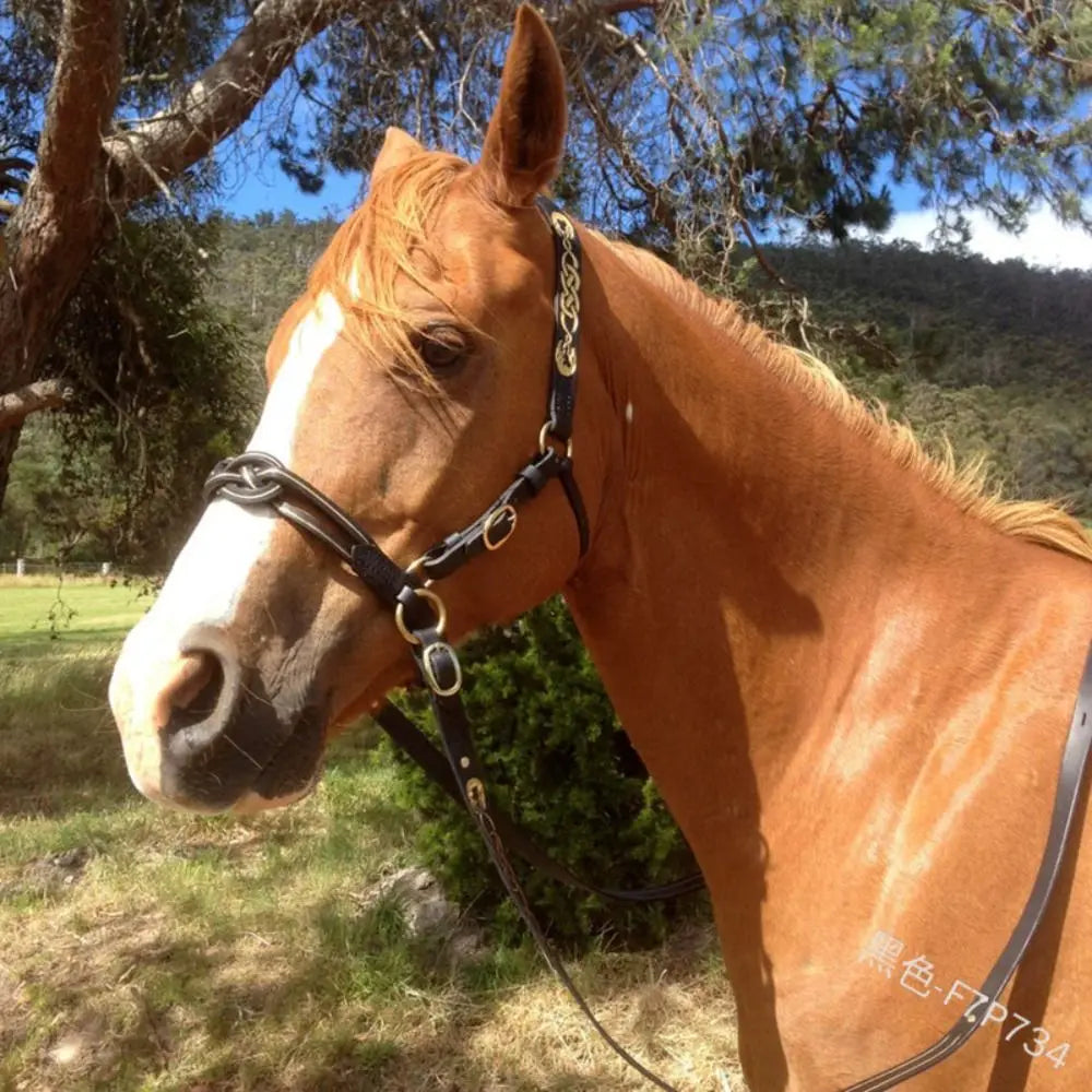 Plush Padded Horse Halter