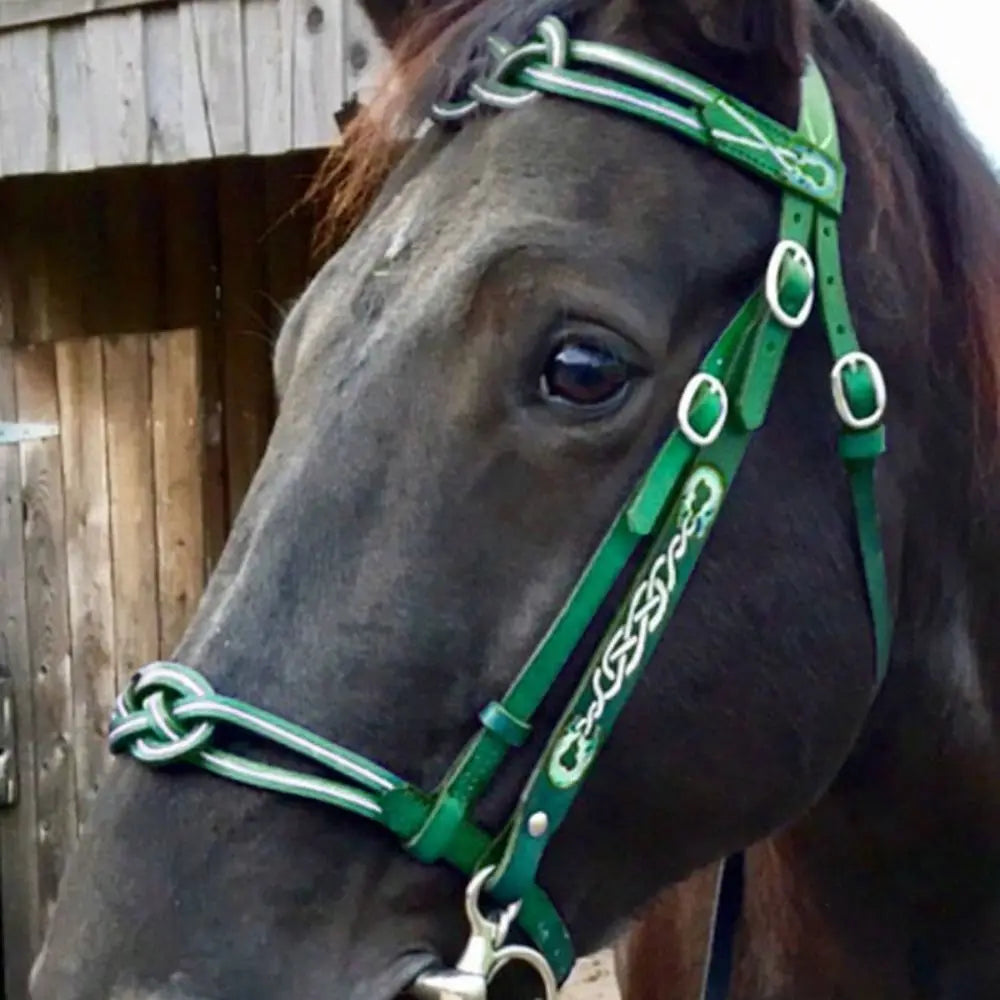 Plush Padded Horse Halter