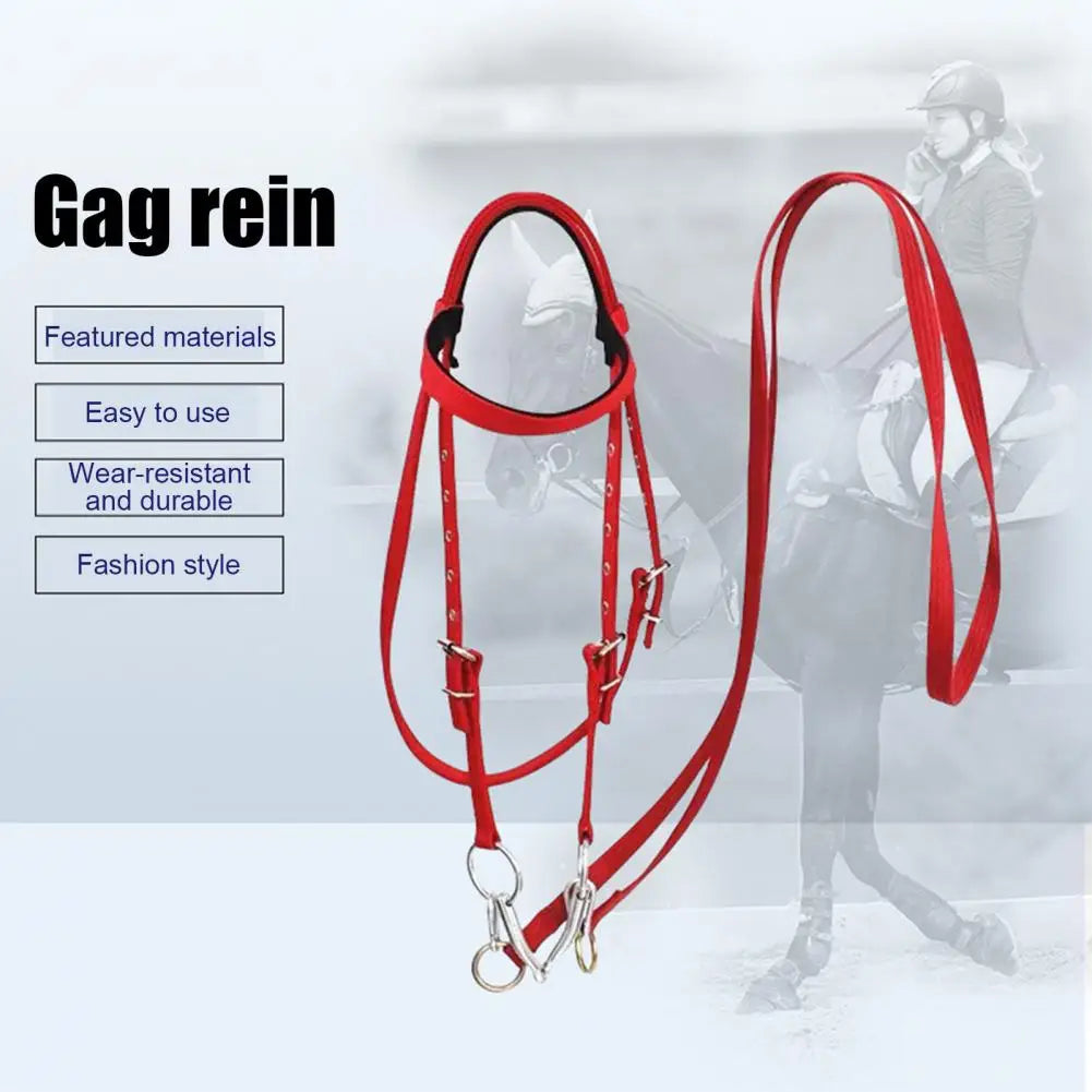 Horse Sweat Scraper Squeegee